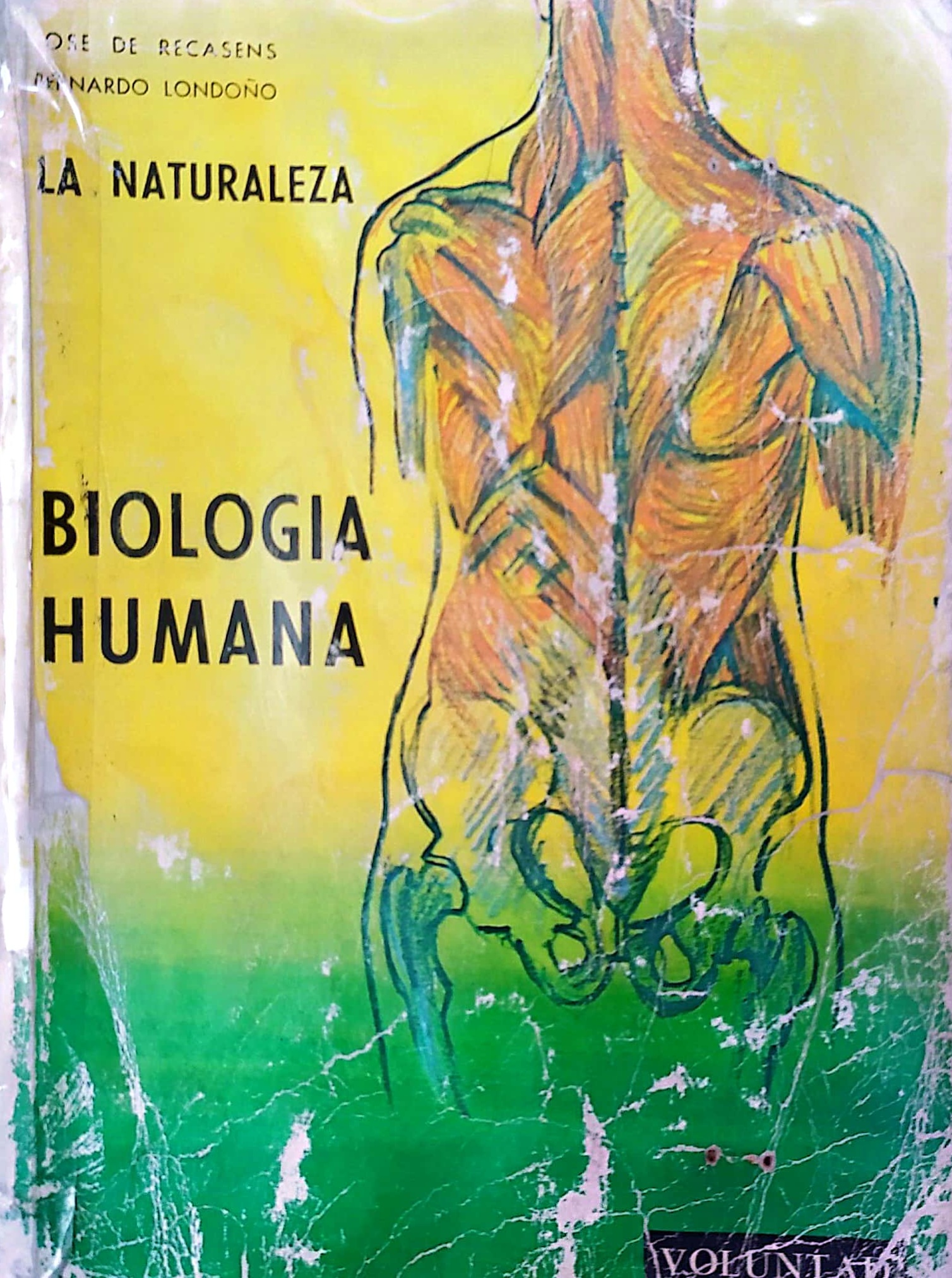 Biología Humana